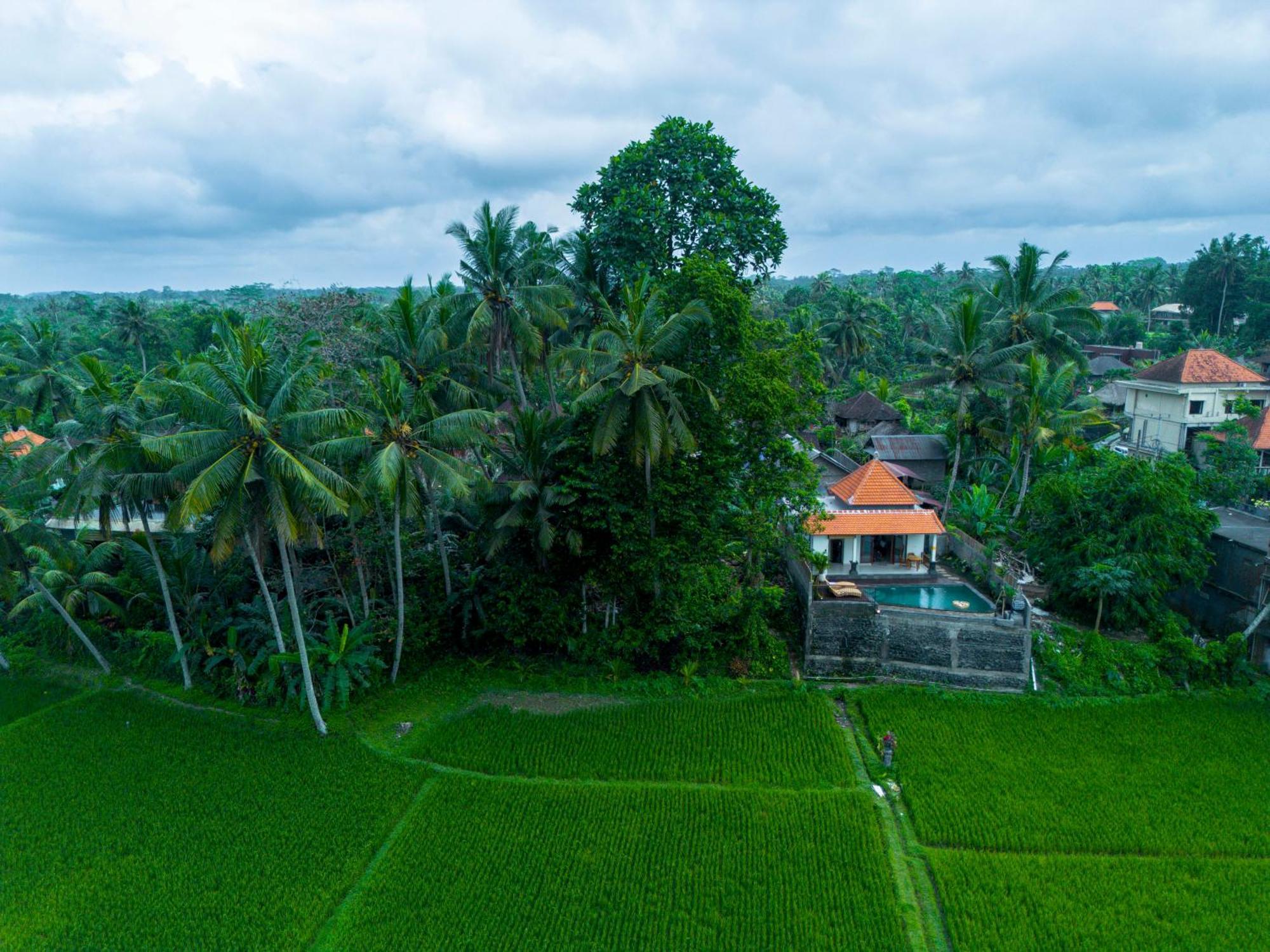 Jatining Ubud Villa & Spa エクステリア 写真