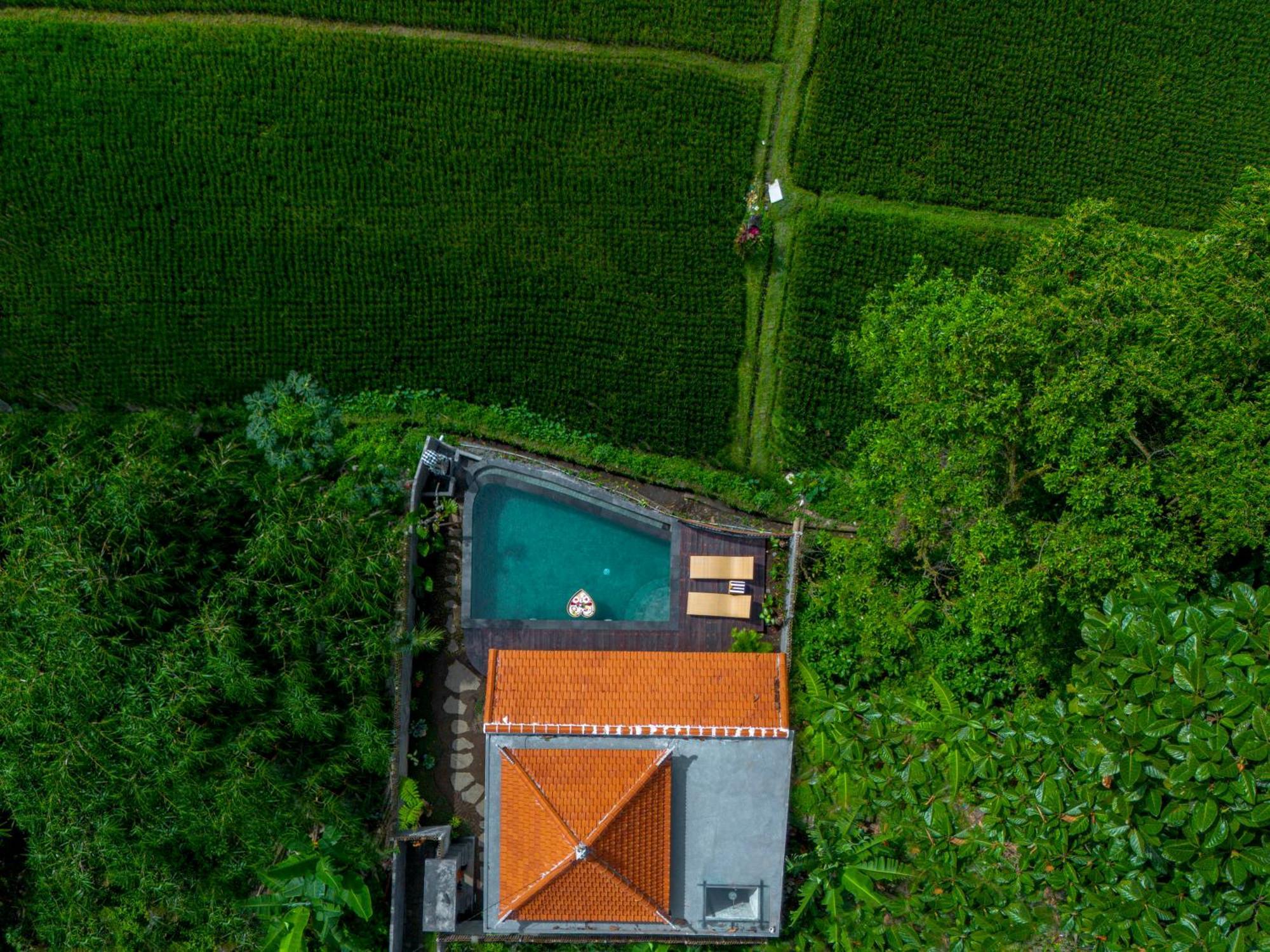 Jatining Ubud Villa & Spa エクステリア 写真